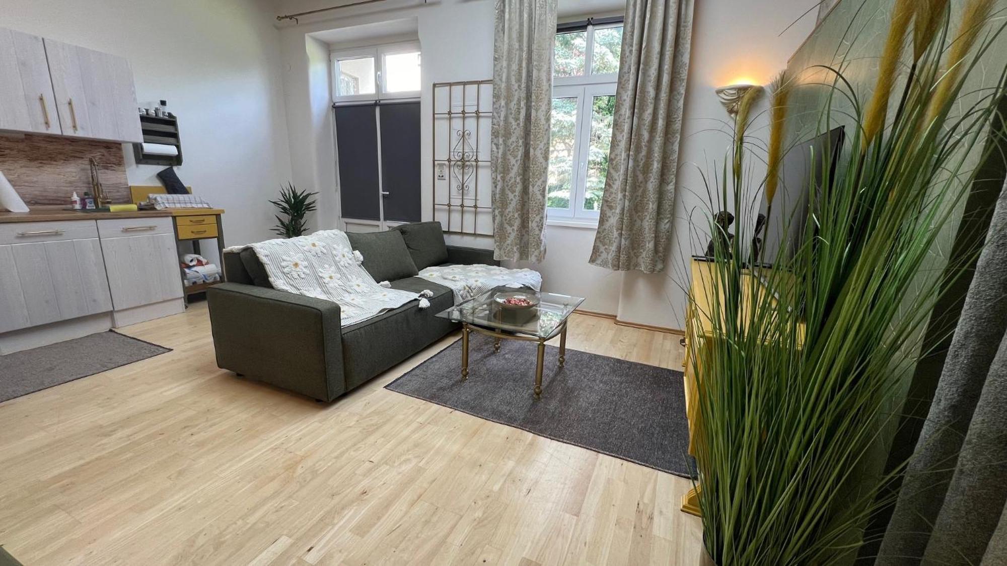 Appartment Rosengarten 바덴 외부 사진